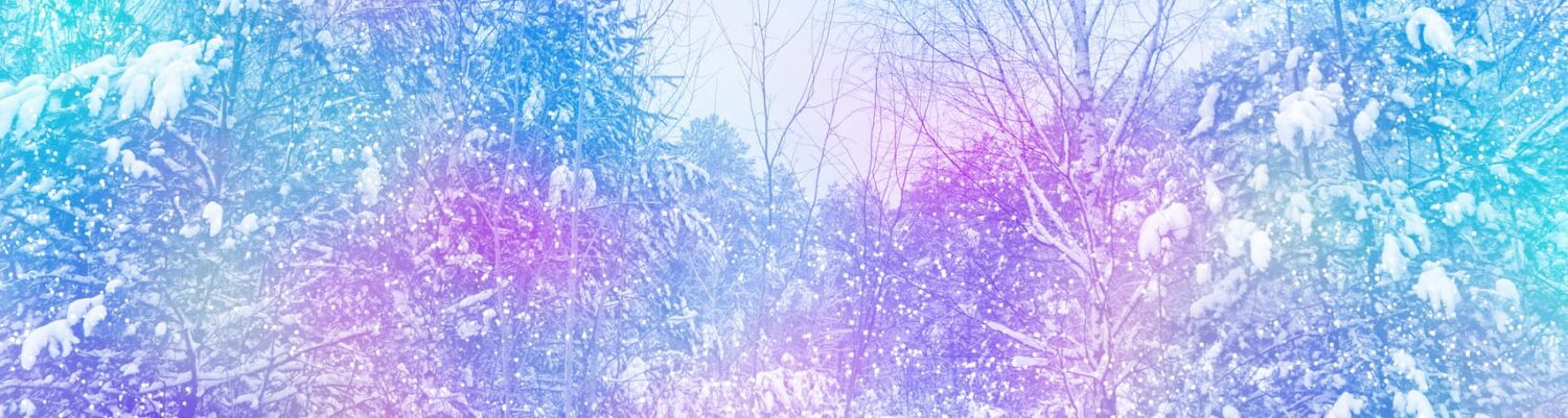 Recorder Players West